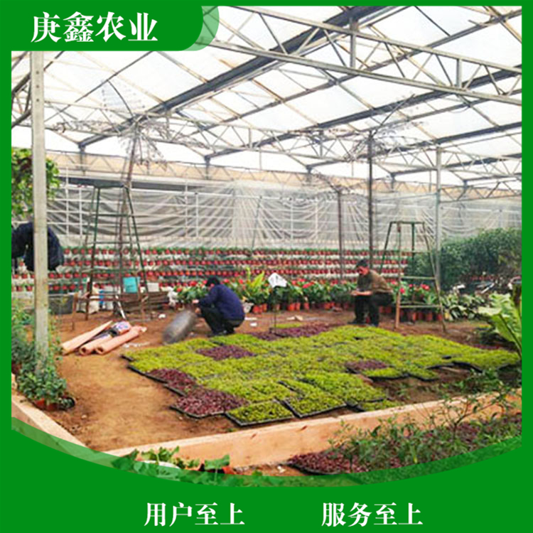 厂家安装绿色温室景观 温室景观植物 欢迎咨询