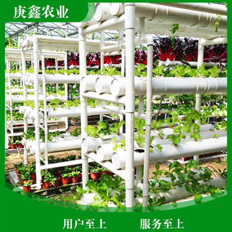 厂家安装绿色温室景观 温室景观植物 支持选购