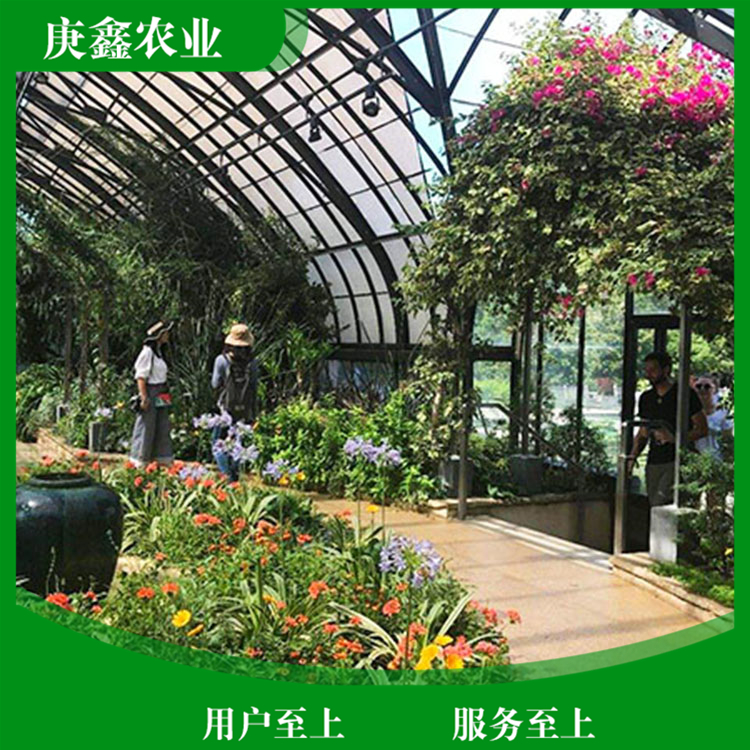 厂家安装绿色温室景观 温室景观植物 欢迎咨询