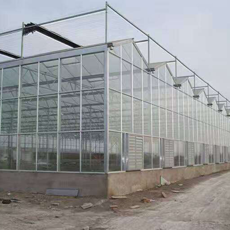 山东玻璃连栋温室大棚 玻璃温室搭建  柏科阿姆农业
