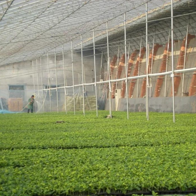 日光温室 新型农业大棚 全骨架搭建 现场安装