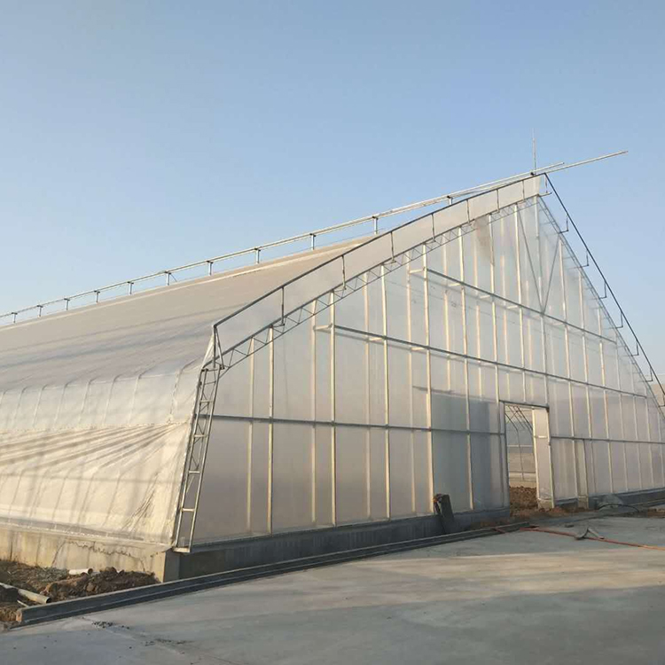 农用日光温室大棚建设 双层膜温室 保温耐用