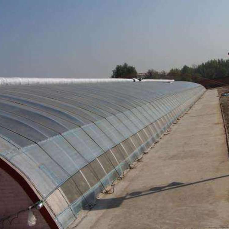 农用日光温室大棚建设 双层膜温室 保温耐用