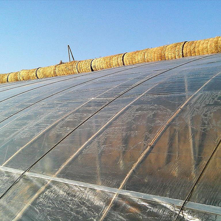 生态温室大棚建设 日光温室 简易温室