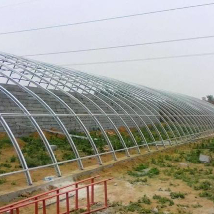 草莓采摘薄膜温室 双拱双模温室建造 日光温室施工建设