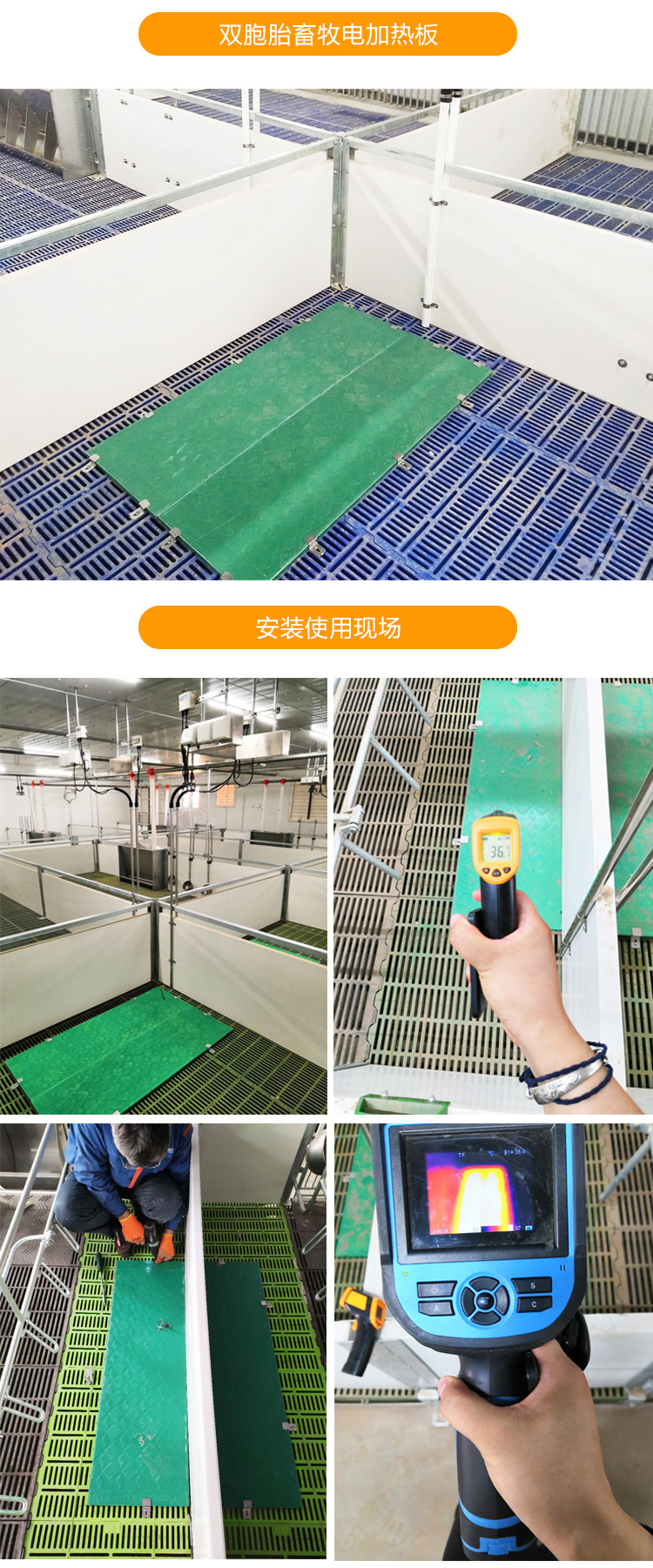 山东施密特小猪电加热保温板