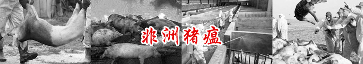 山东施密特高温消毒柜